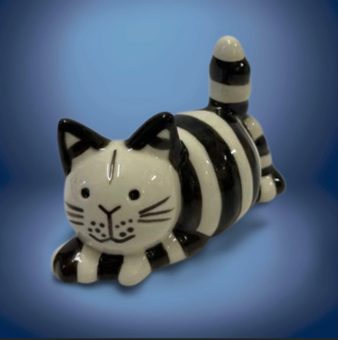 Football inspired Black and White cat