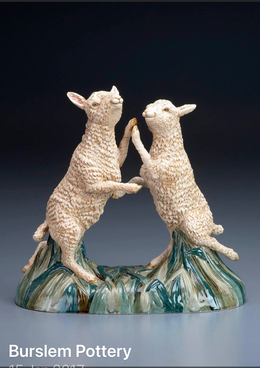 Lambs at play
